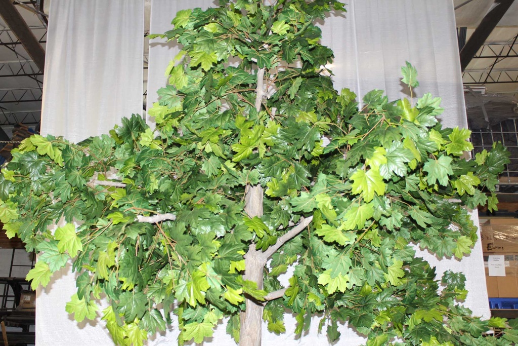 PDF-010-02 WHITE.JPG