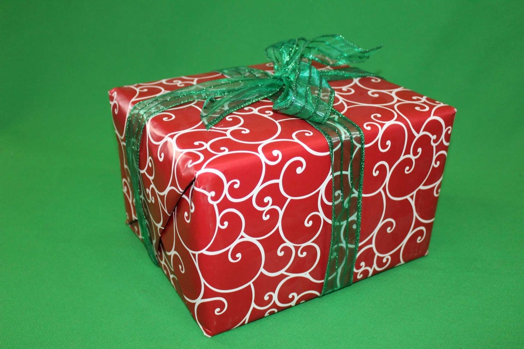 Christmas Present