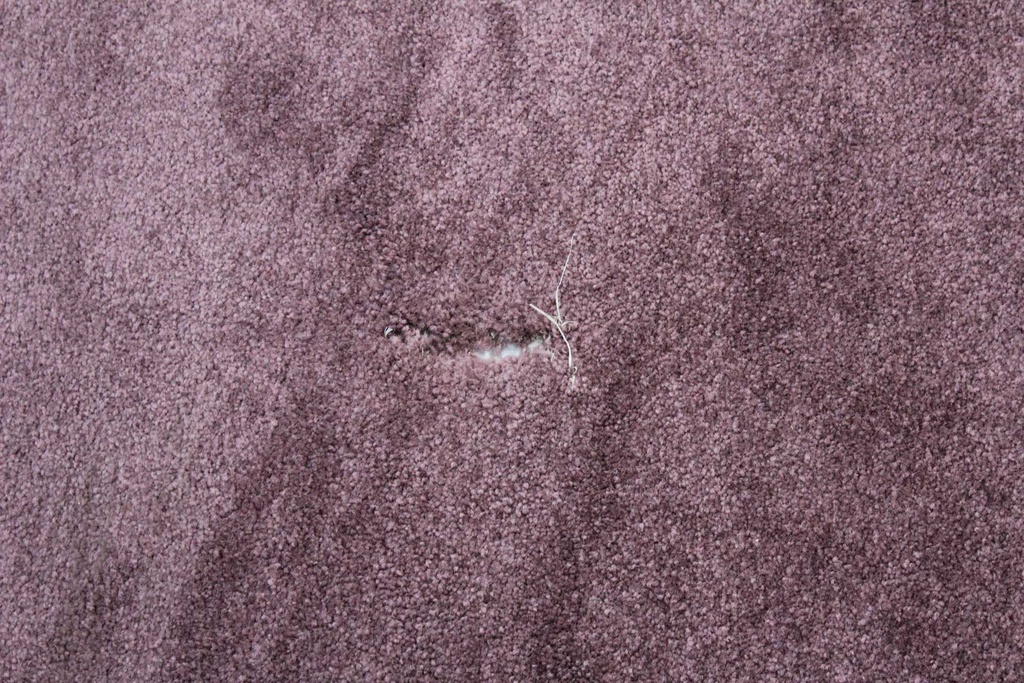 Mauve Rug