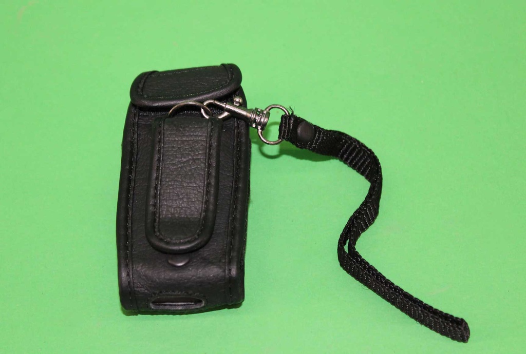 Flip Phone & Holster