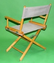 Director Chair