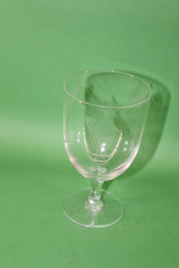 Wine Glass