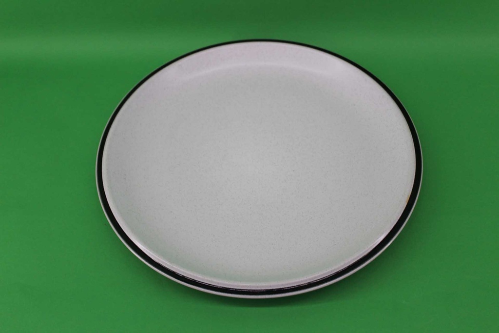 Dinner Plate