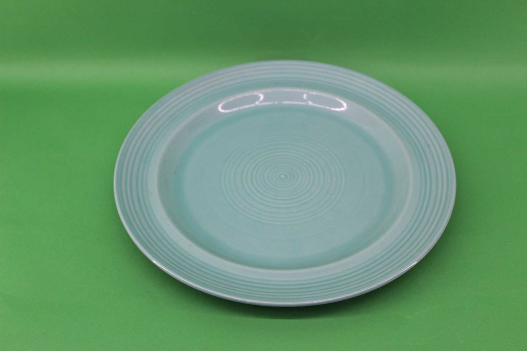 Dinner Plate