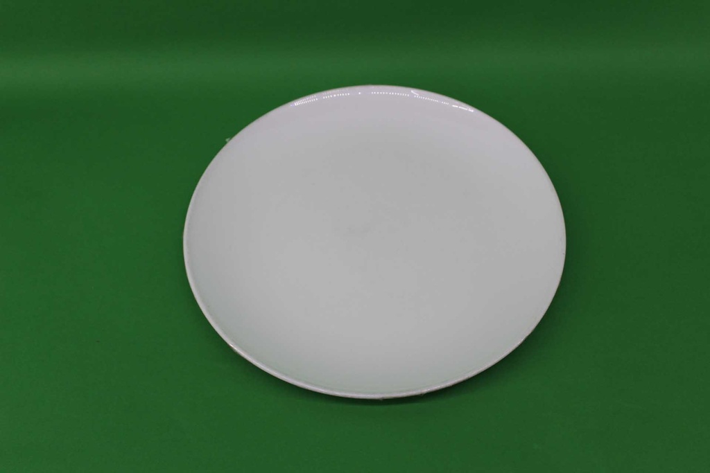 Dinner Plate