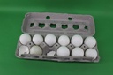 Egg Carton