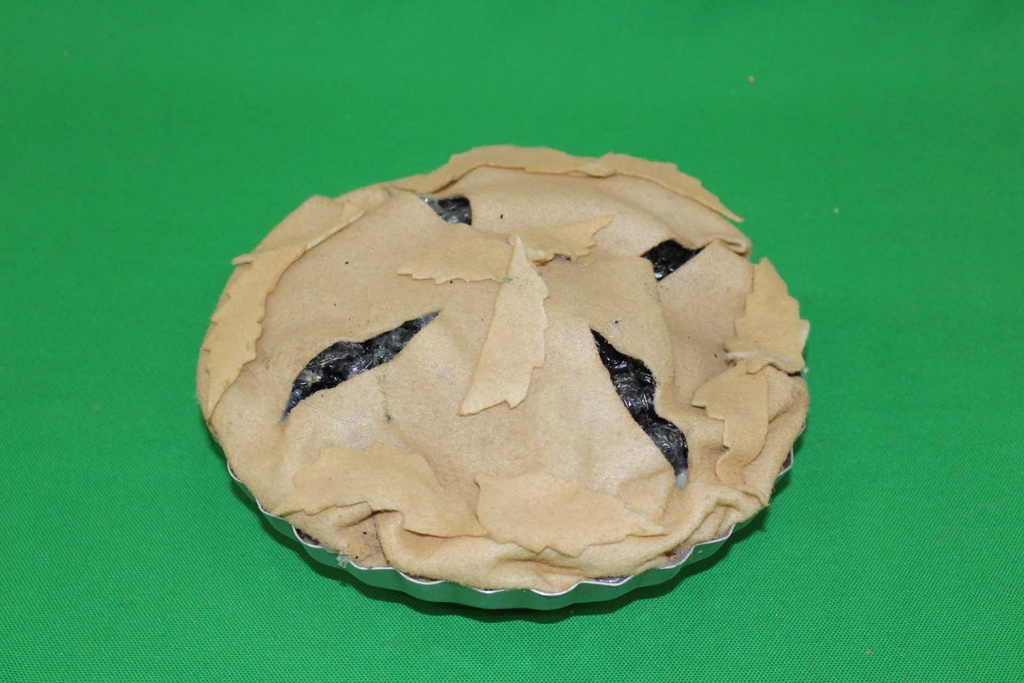 Blueberry Pie