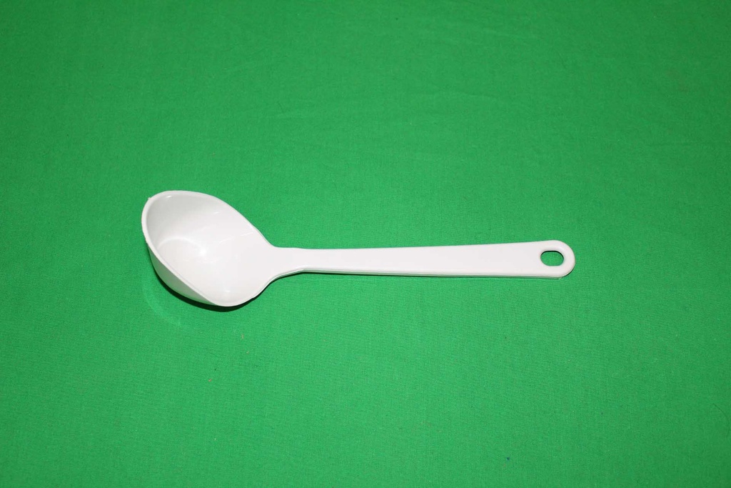 Ladle