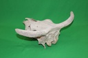 Cow Skull