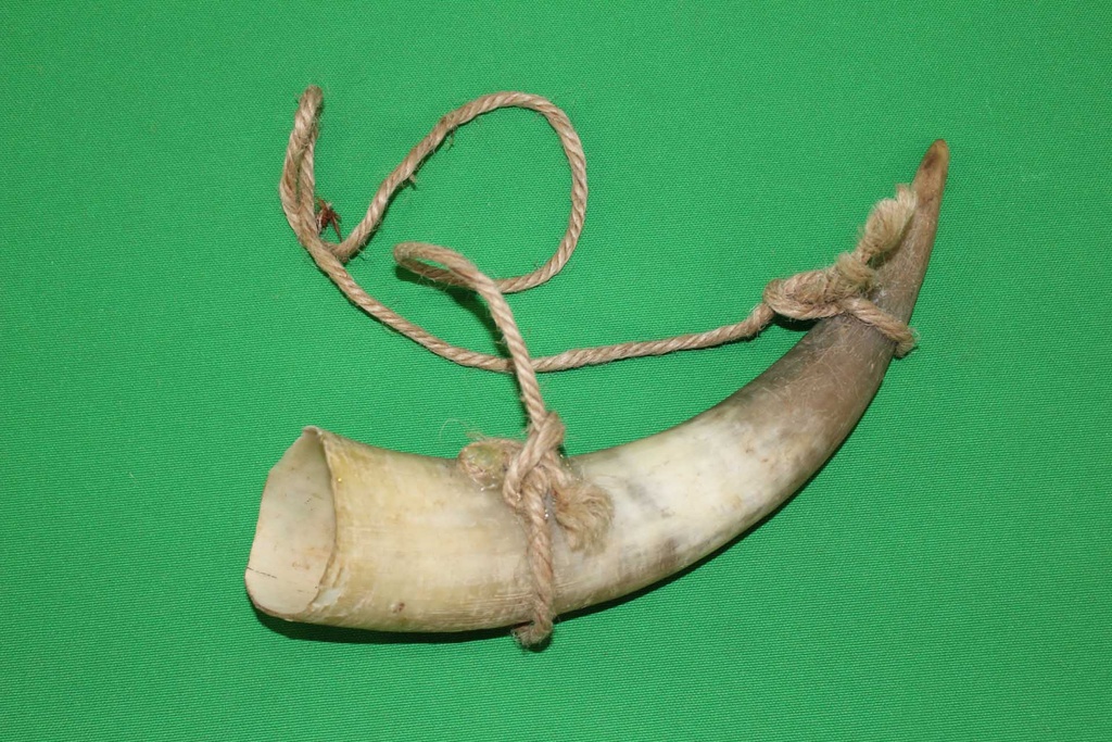 Powder Horn