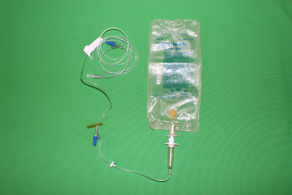 IV Bag