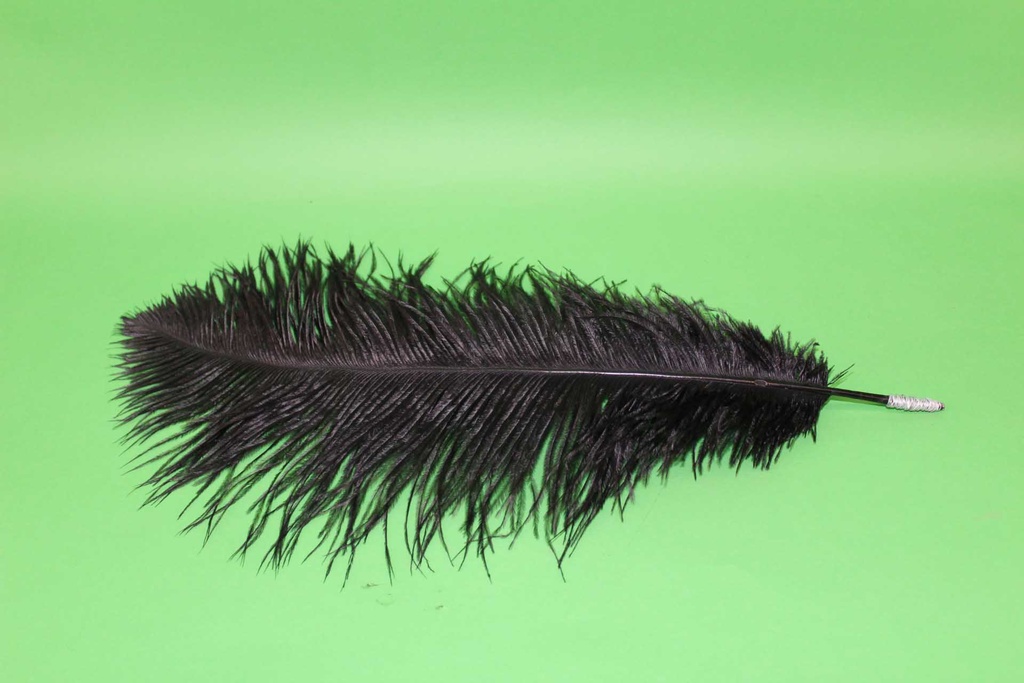 Feather Quill