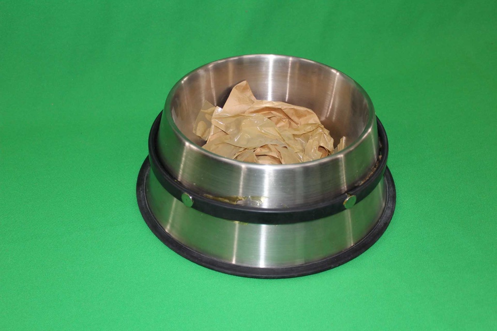 Dog Bowl