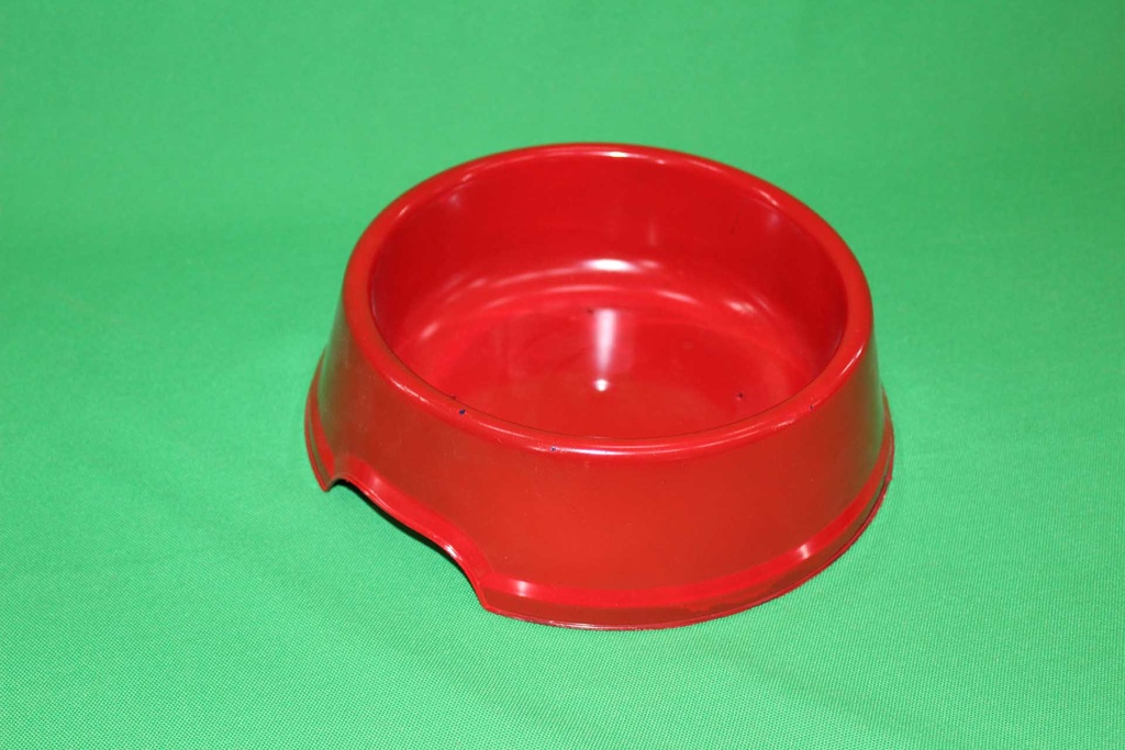 Dog Bowl