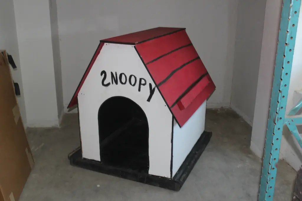 Snoopy House