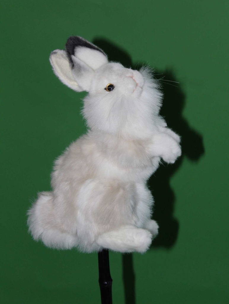 Bunny Rabbit Stick Puppet