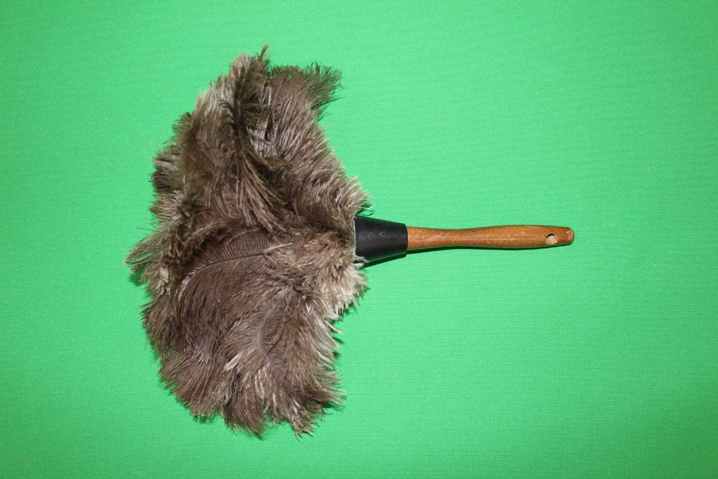 Feather Duster