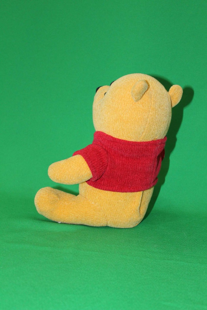 Pooh Bear