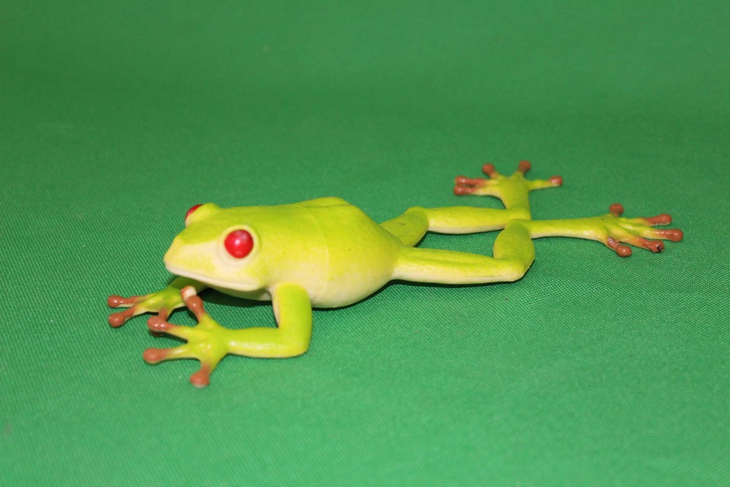 Toy Frog