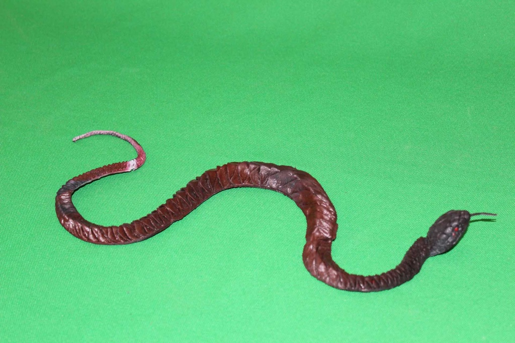 Toy Snake