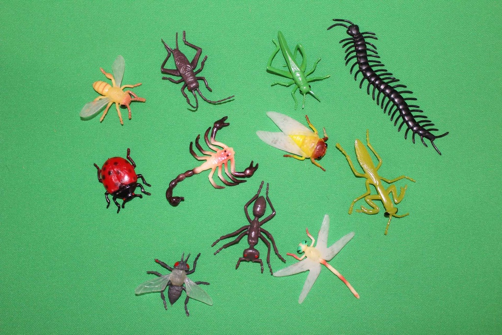 Toy Insects