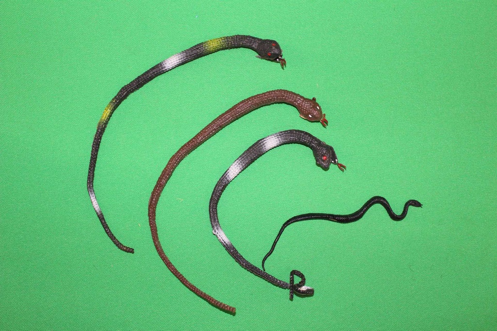 Toy Snakes