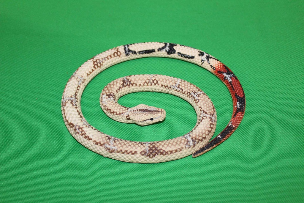 Toy Snake