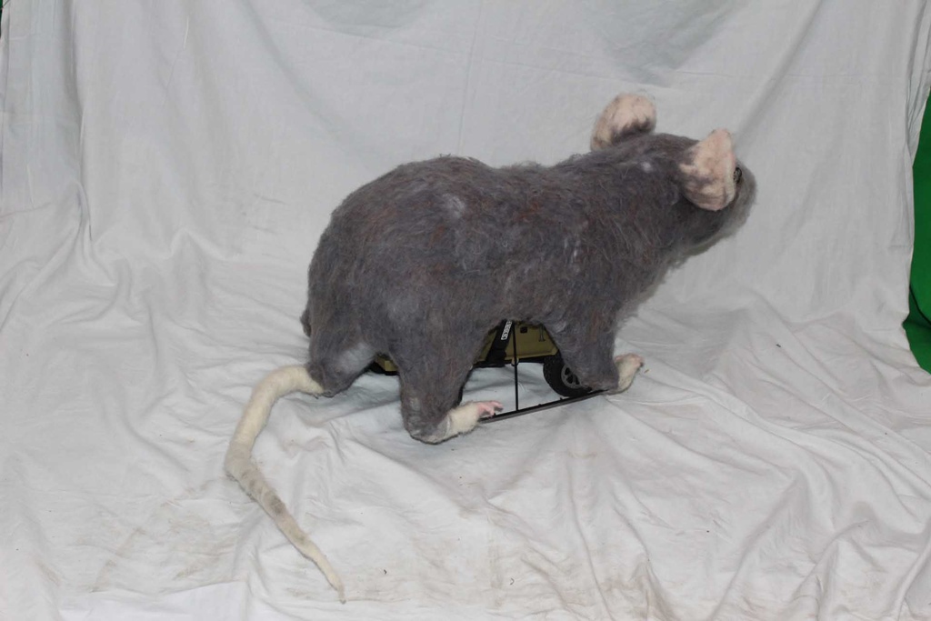 Remote Control Rat
