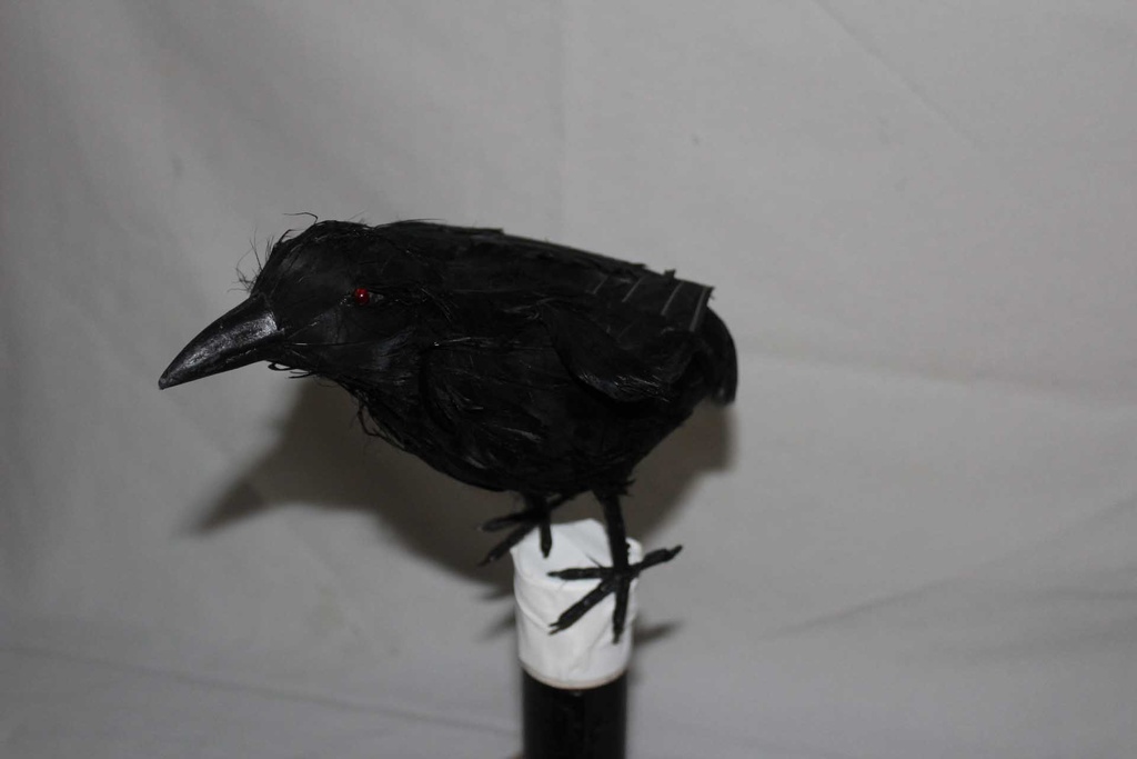 Crow