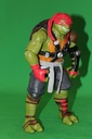 TMNT Action Figure