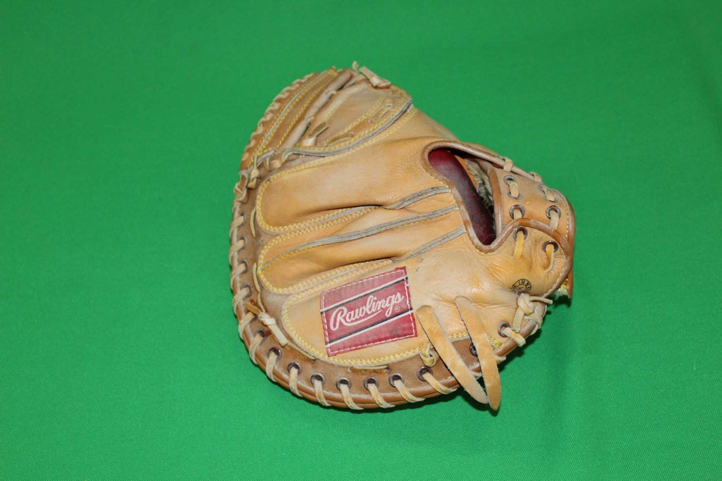 Catcher's MItt