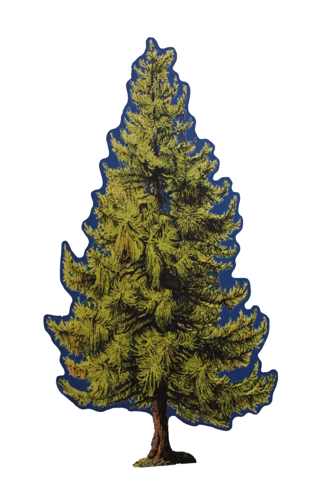 Pine Tree Flat - Small