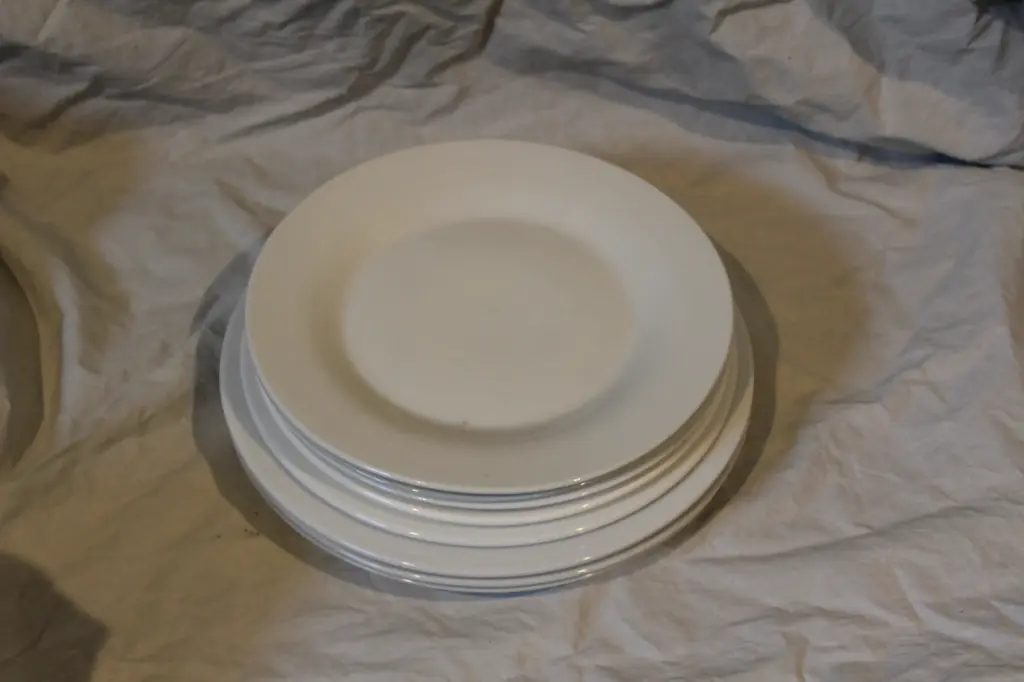 Dinner Plate