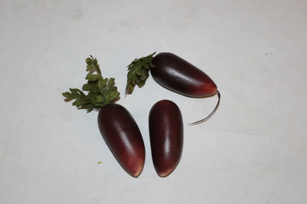 Raddish