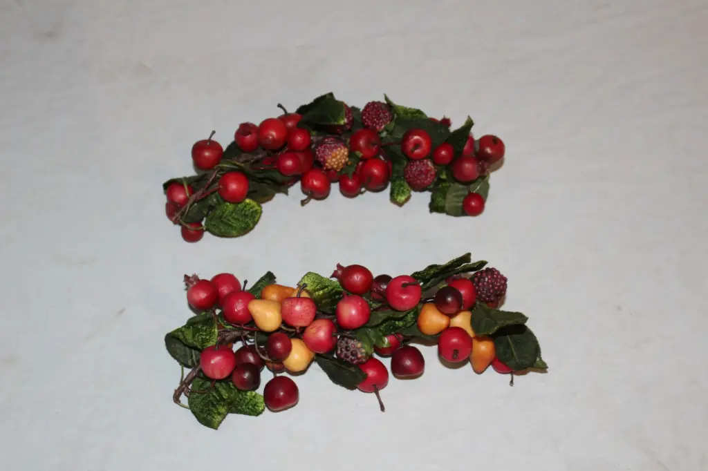 Berry Stem
