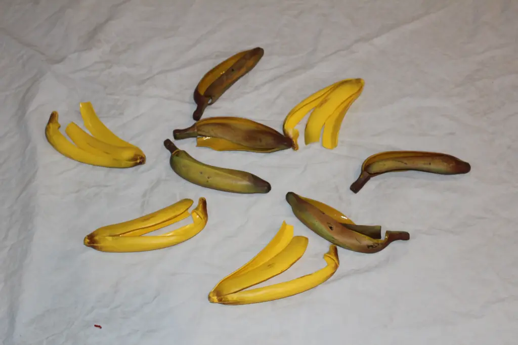 Banana Peel