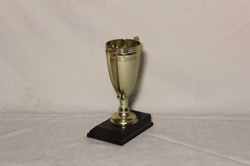 [PDA-024] Trophy Cup