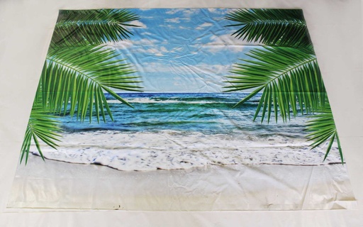 [PDD-022] Beach Backdrop