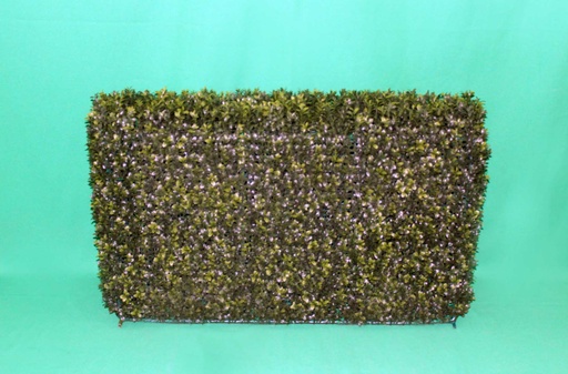 [PDF-001] Boxwood Shrub