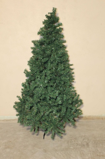 [PDF-015] 5' Evergreen