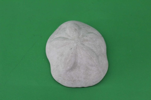 [PDK-015] Sea Biscuit