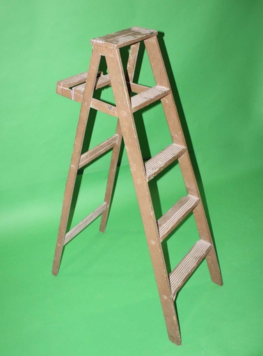 [PDM-006] Wood Ladder
