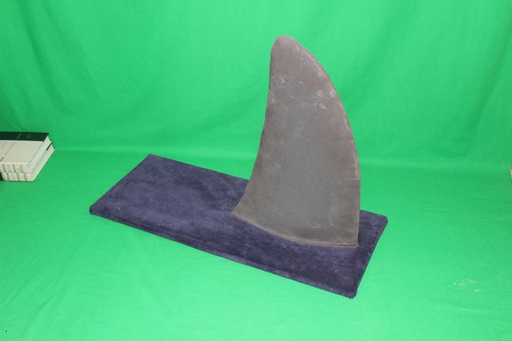 [PDM-017] Shark Fin