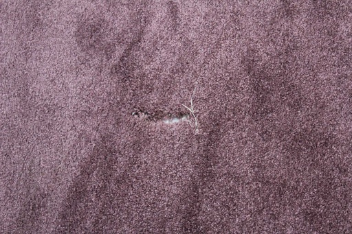 [PDR-010] Mauve Rug