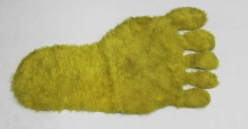 [PDR-031] Footprint Rug