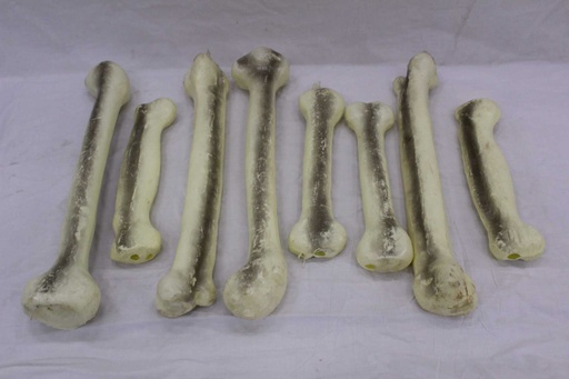 [PMB-012] Arm/Leg Bones