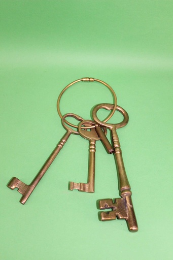 [PMO-050] Skeleton Keys