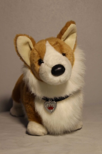 [PTA-041] Corgi