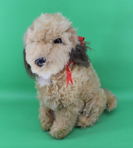 [PTA-044] Benji Dog
