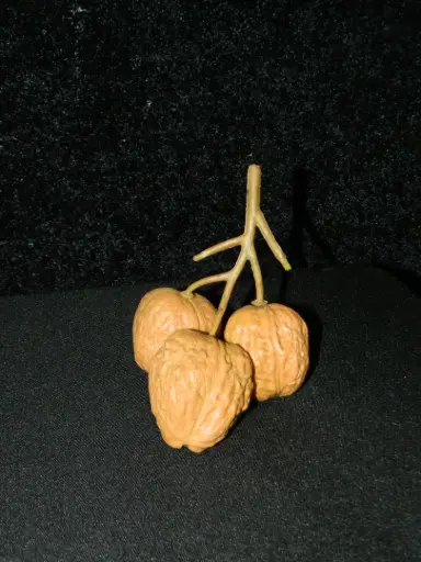 [PKF-149] Walnut Stem